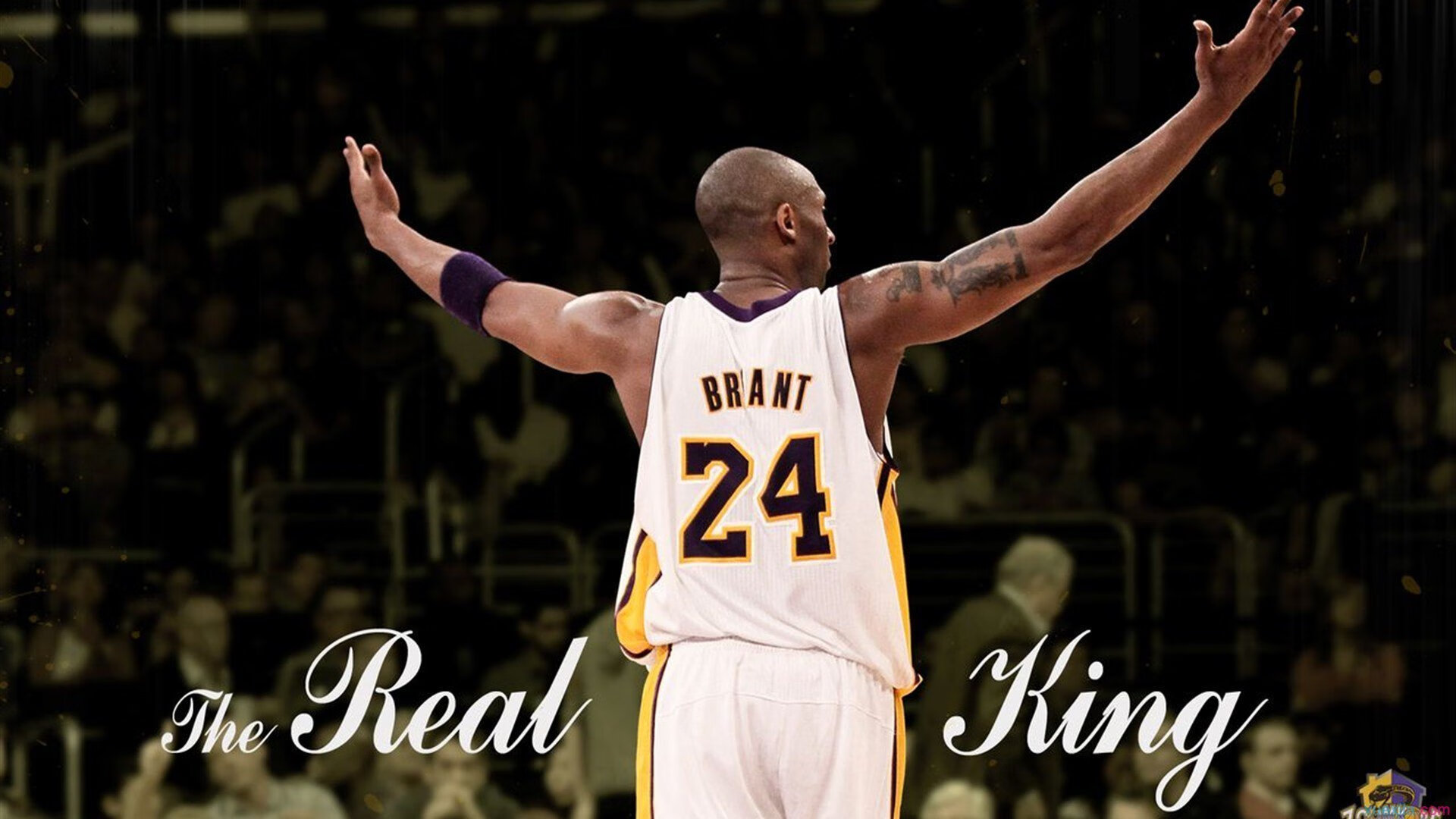 各国代表团快讯：最新战况一览，各国家代表